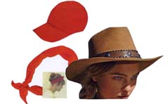 Hatsfor  Spring 2014